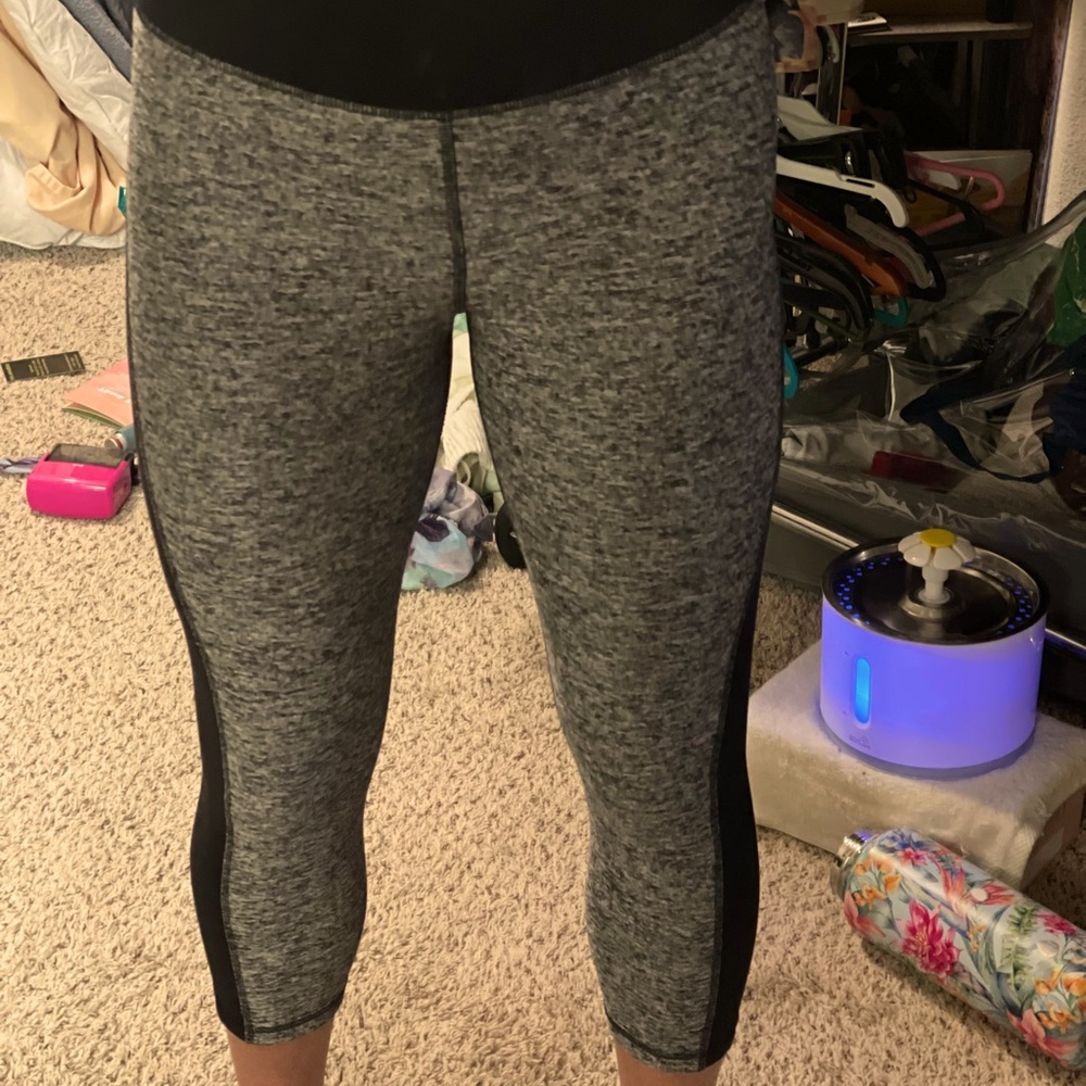 Express work out pants